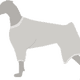 Illustration for article titled How to Avoid the Cone of Shame for Dogs Post Surgery